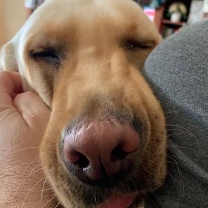 Meet your Posher, Lyle